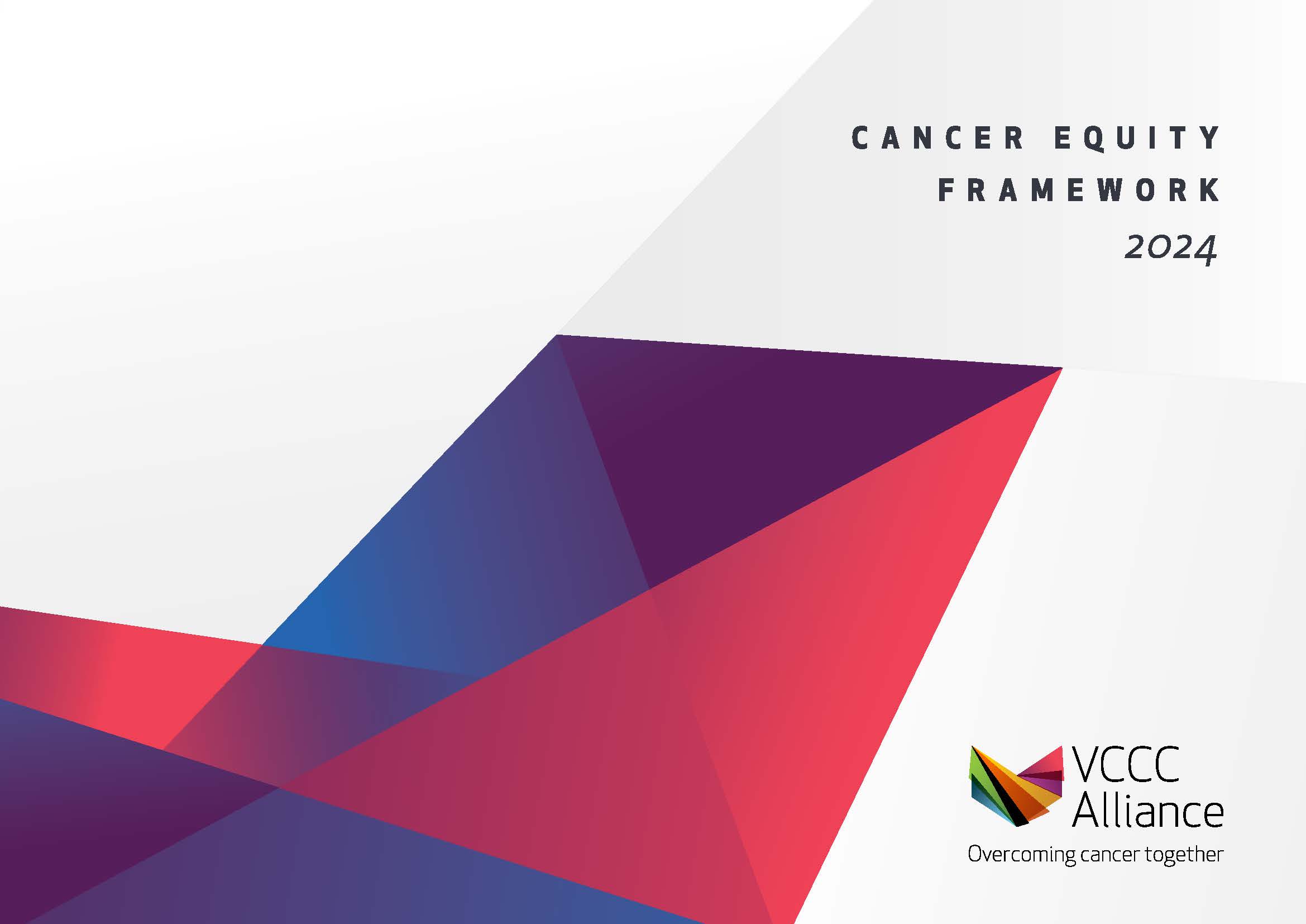 cancer equity framework
