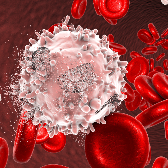image of tumer and blood cells