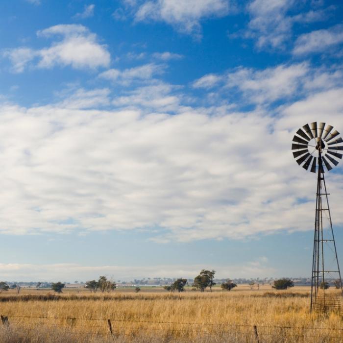 windmill in paddock 