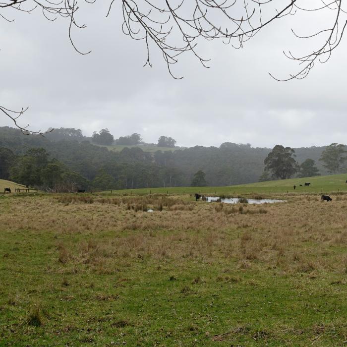 image of regional victoria paddock