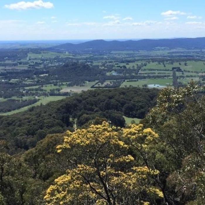 regional landscape